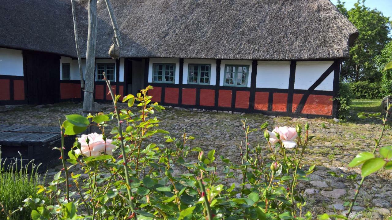 Thurup Hus Holiday home *